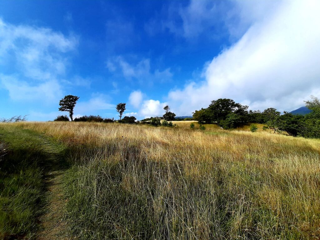 Laudato si', cammino mio In cammino per tre giorni sulla Via di Francesco
