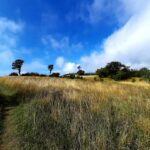 Laudato si', cammino mio In cammino per tre giorni sulla Via di Francesco